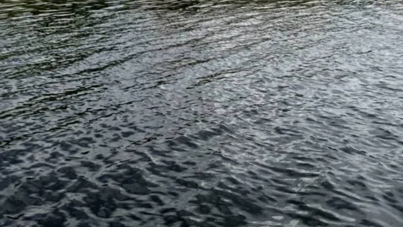 Атырауда Жайықтан белгісіз біреудің мәйіті табылды