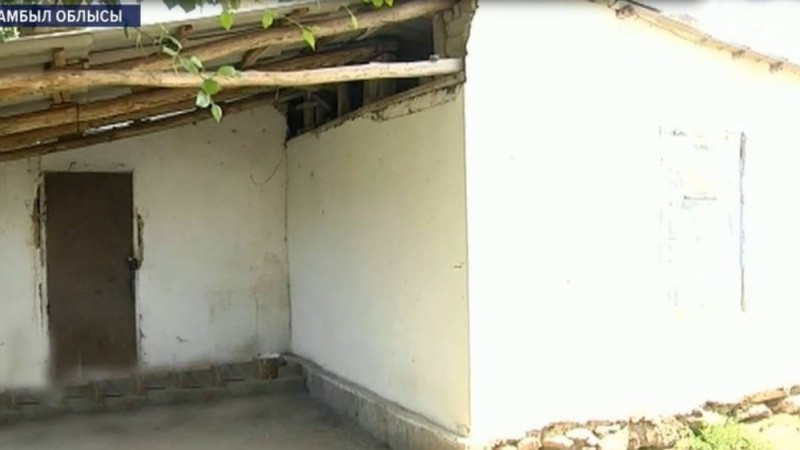 Жамбыл облысында Өзбекстан азаматы екі әйелді бауыздап өлтіріп кетті - Қазақстан жаңалықтары