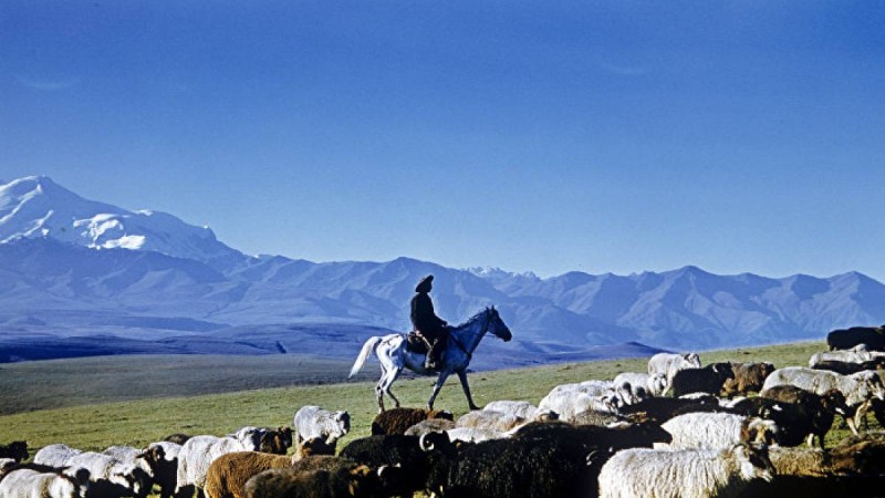 Жамбыл облысында Өзбекстан азаматы екі әйелді айуандықпен өлтіріп кетті