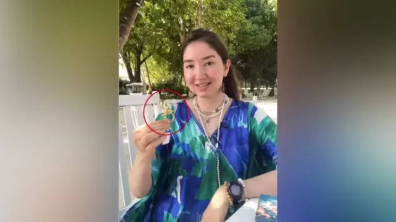 Желіде блогер ана атануға мүмкіндік беретін “тұмар-емізіктер” сатуда