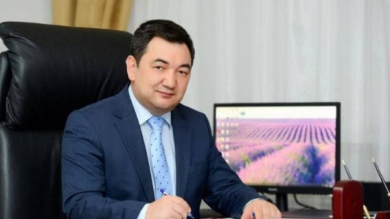 Дархан Қыдырәлі журналист Михаил Козачковтың ұсталуына қатысты мәлімдеме жасады