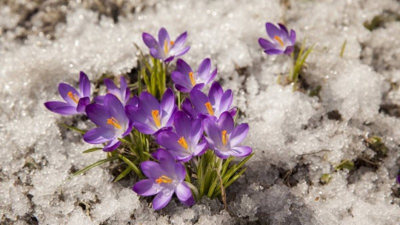 8 наурыз күнгі ауа райы болжамы