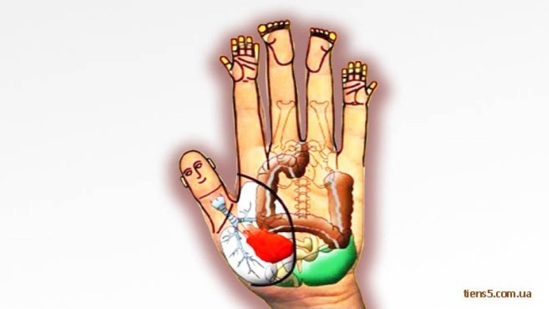 Алақанға қарап ауруды анықтауға болады