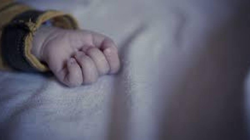 Петропавлда екі жасар сәби шемішкеге қақалып қайтыс болды