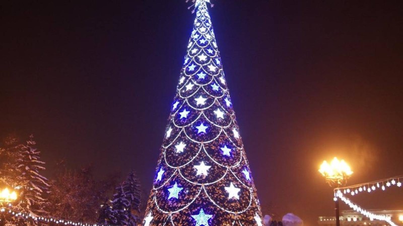 Семей әкімдігі шыршаларды 23 миллион теңгеге сатып алған