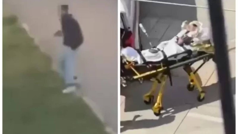 Аустрияда мектепте оқушы атыс шығарды: Он бір адам қаза тапты