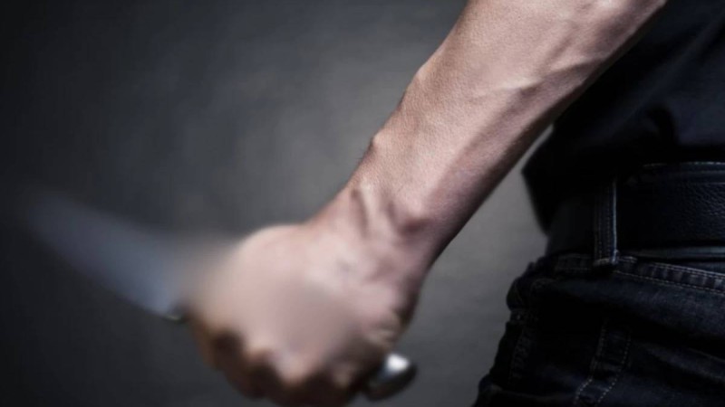 Алматыда спорт академиясының студентін өлтірді деген күдікті ұсталды