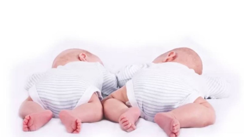 Қызылорда облысының тұрғыны егіз баласын жарты миллион теңгеге сатып жіберген