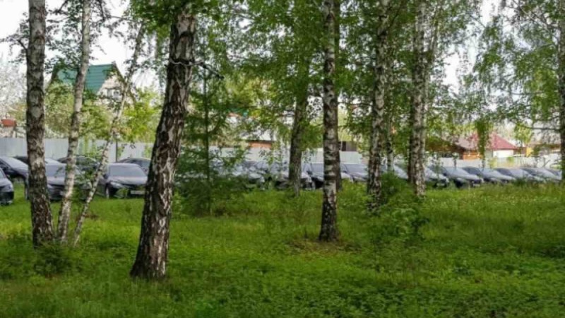 Орманнан қараусыз қалған 50-ден астам жап-жаңа Toyota Camry автокөлігі табылды - Қазақстан жаңалықтары