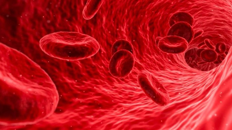 Коронавирусқа берік қан тобы анықталды - Қазақстан жаңалықтары