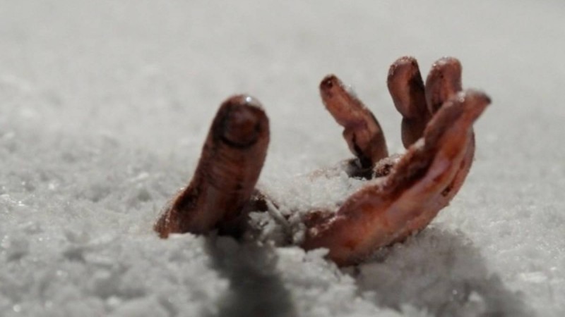 Абай облысында үш адам, оның ішінде 3 жасар бала аяздан қайтыс болды