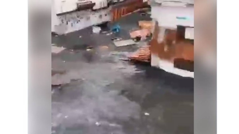 Измирдегі жер сілкінісінен кейінгі цунамидің видеосы пайда болды: ҚР Елшісі үндеу жасады