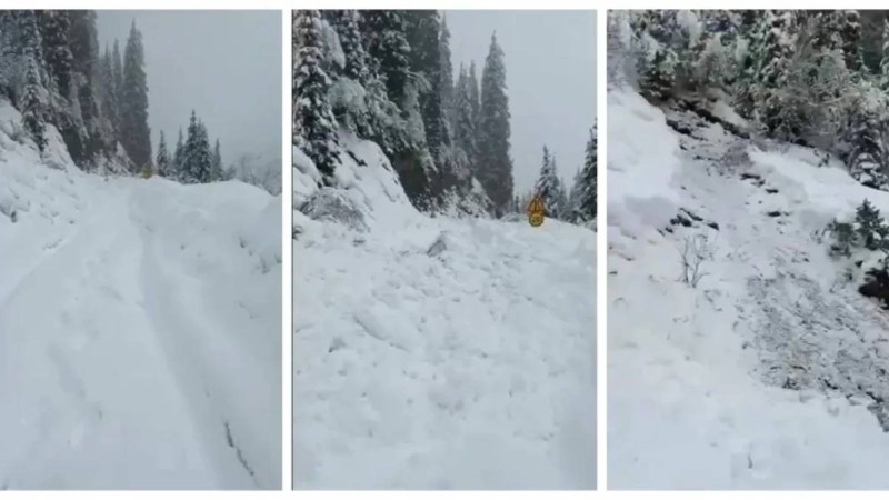 Алматы облысында тас жолға қар көшкіні құлады (видео)