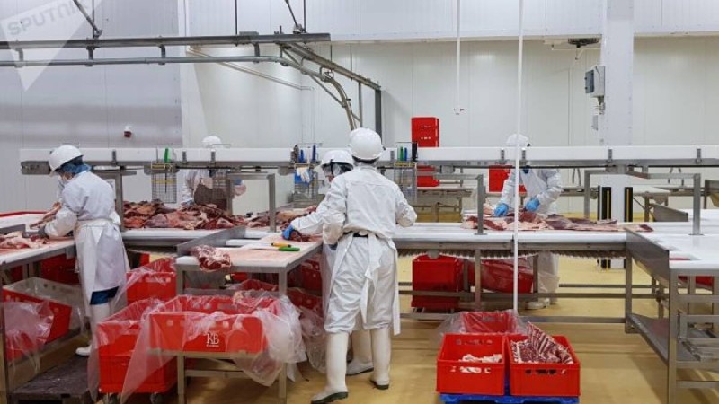 ол қандай артықшылықтарға ие болады