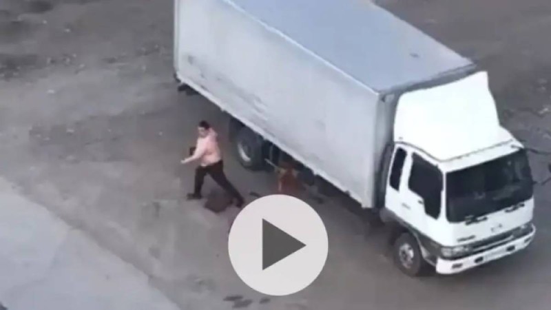 Желіде балта ұстаған адамның видеосы тарап жатыр: полицейлер пікір білдірді