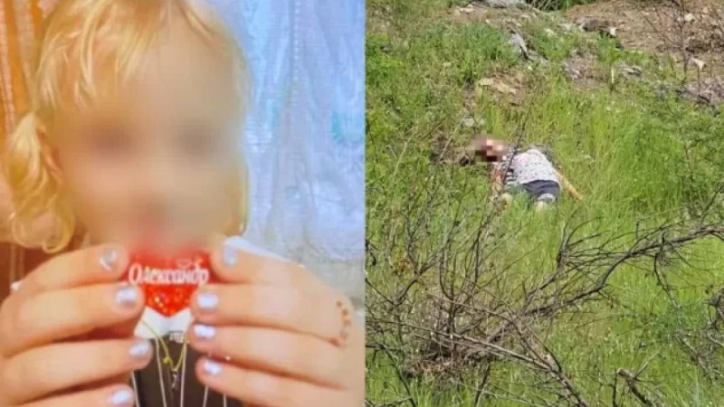 Украинада маньякқа еліктеген 14 жастағы оқушы 7 жастағы қызды балғамен ұрып өлтірген