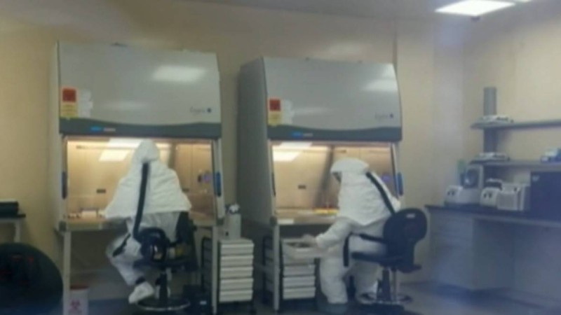 COVID-19-ға қарсы қазақстандық вакцинаны бірінші болып жануарларда сынайды - Қазақстан жаңалықтары