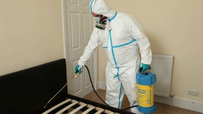 ДДСҰ коронавирустан қорғанудың танымал әдісін зиянды деп атады - Қазақстан жаңалықтары