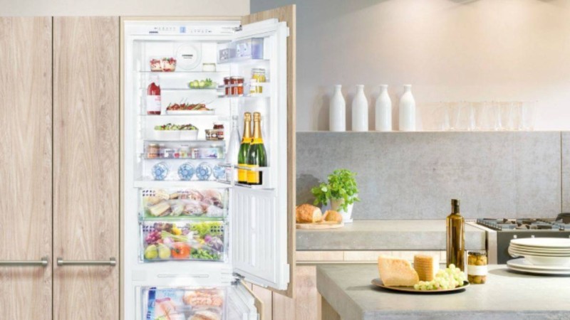 Сарапшылар тоңазытқышта сақтауға болмайтын өнімдерді атады - Қазақстан жаңалықтары