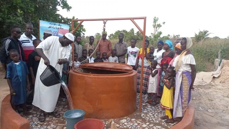 Айнұр Тұрсынбаева мен «Дәулеттен» Гамбияда құдық орнатты