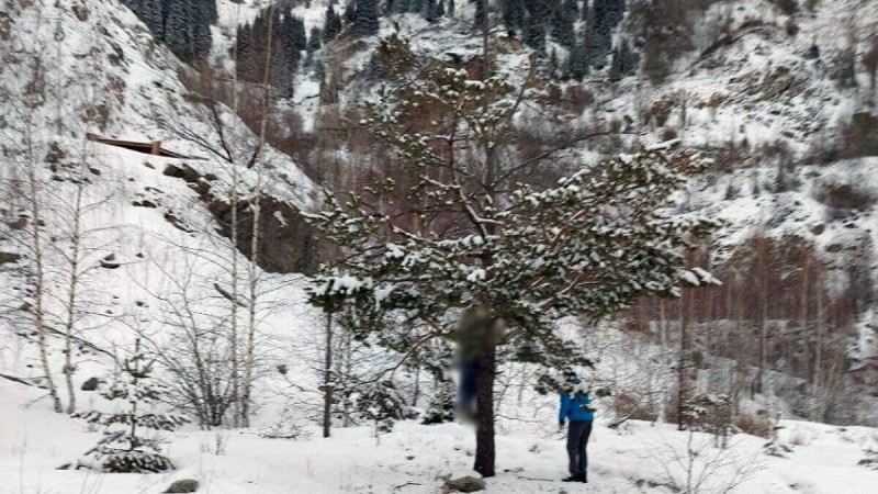 Алматыда ағашқа ілінген әйелдің денесі табылды