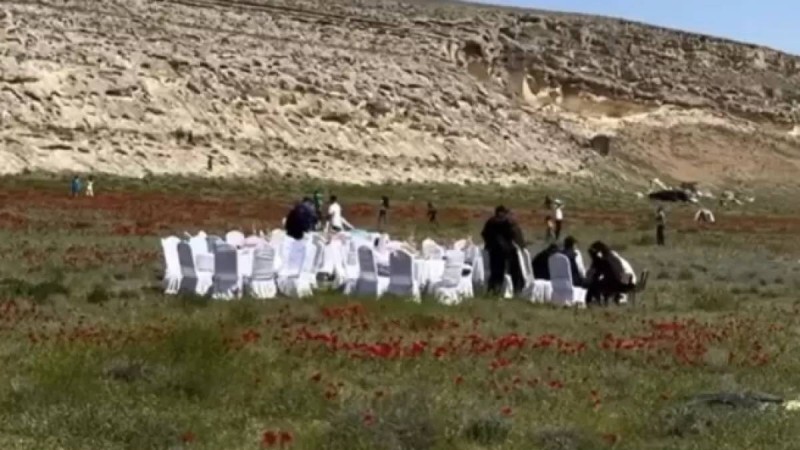 Маңғыстауда қалың қызғалдақтың ортасына дастархан жайғандар жұрттың ашуын туғызды