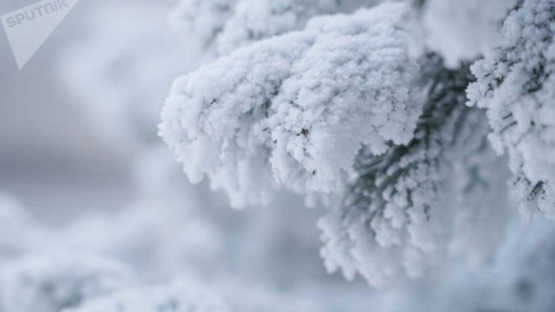 Демалыс және мереке күндері ауа райы қалай өзгереді – синоптиктер болжамы