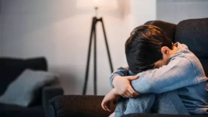 Қарағандыда отбасы асырап алған балаларын құлдыққа жеккен