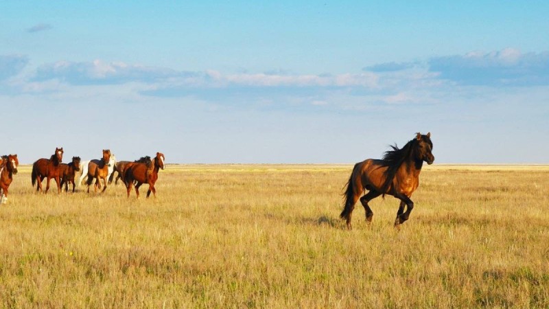 Қазақстан «қызыл» аймақтан шықты