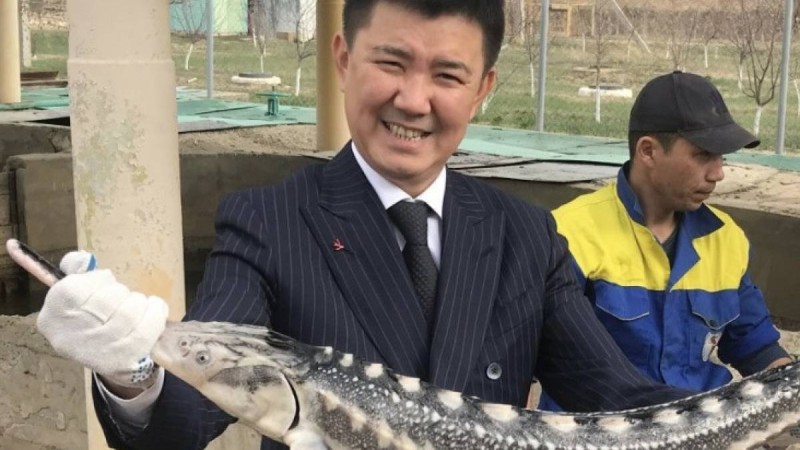 Болат Өтемұратовтың жиені 5 жылға бас бостандығынан айырылды