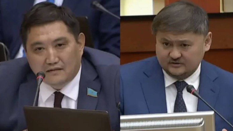 "Сөздеріңіз әдемі өлең сияқты": депутат министрді мақтады