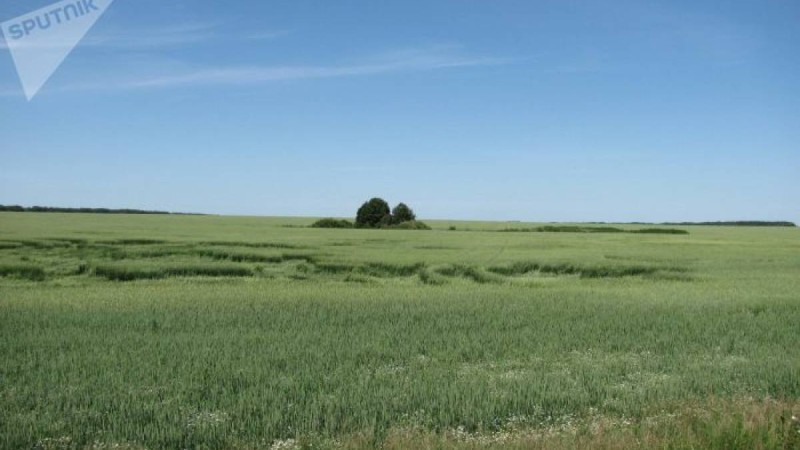 Ресей Қазақстанға қанша гектар жерді қайтарады – сенат заң қабылдады