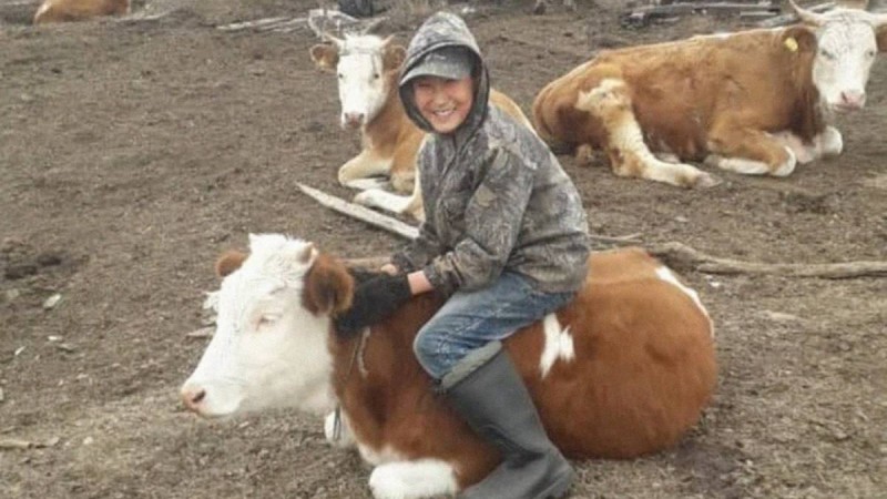 Путиннен сиыр сұраған якутиялық бала «сиырлы» болды