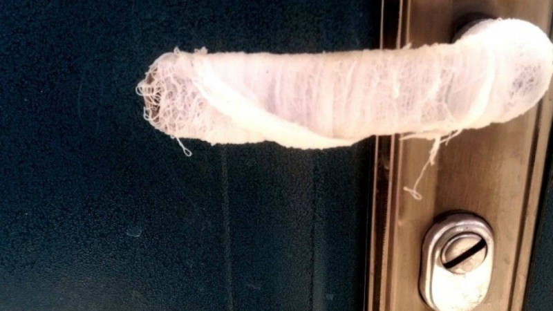 Балабақшадағы эпидемияға қарсы ноу-хау Ақтаулықтардың ашуын келтірді