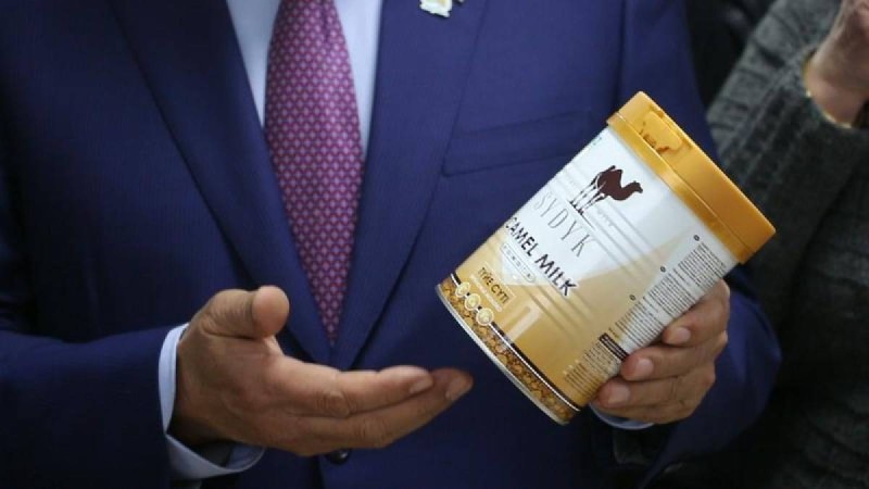 Алматы облысында түйе сүтін өңдейтін зауыт іске қосылды