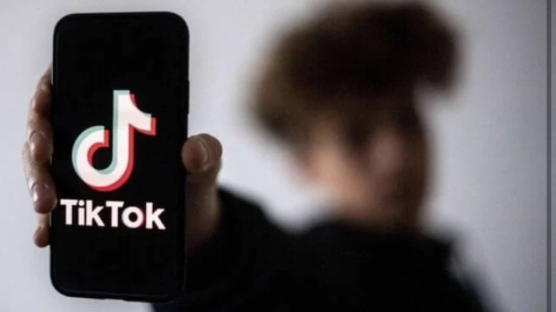 "TikTok түсіргені үшін өзіңе пышақ тық деген": Түркістан облысында үш баланың анасы күйеуін өлтіріп, бөлшектеп тастаған (видео)