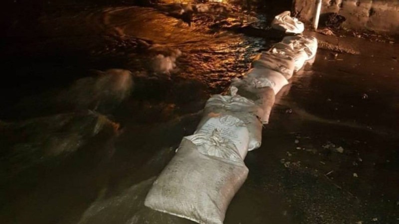 Алматыдағы жаңбырдың салдары: ағаштар құлап, көшелерді су басты - Қазақстан жаңалықтары