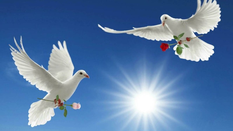 Құндылық бағдарлар - адам өмірінің бағдаршамы