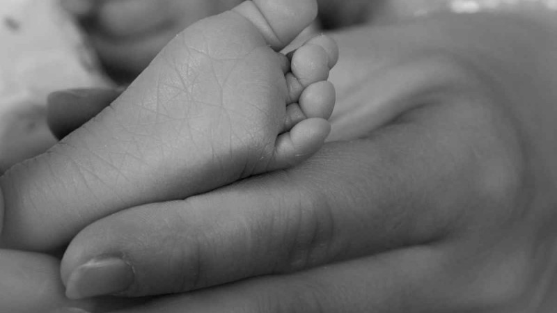 Алматыда қараусыз қалған ғимараттардың бірінде нәрестенің денесі табылды
Бұл туралы ақпаратты желі қолданушылары таратқан