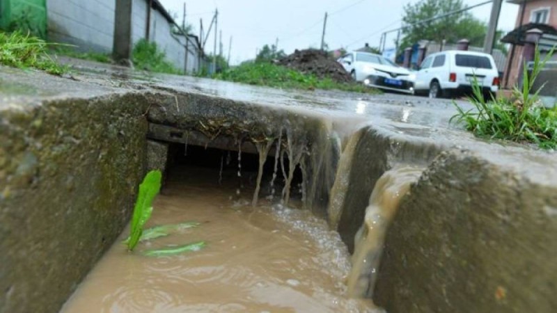 Сел салдарымен күресте "Мақтаарал тәжірибесін" пайдаланамыз – Шөкеев