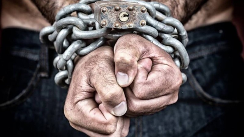 "Шымкентте құлдыққа ұстайтын жер бар": Гүлмира Әбіқай адам шошырлық жайтты мәлімдеді