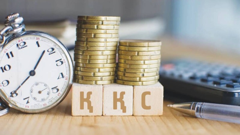 Қазақстан ҚҚС бойынша қандай салаларға және неліктен жеңілдіктер жасады?