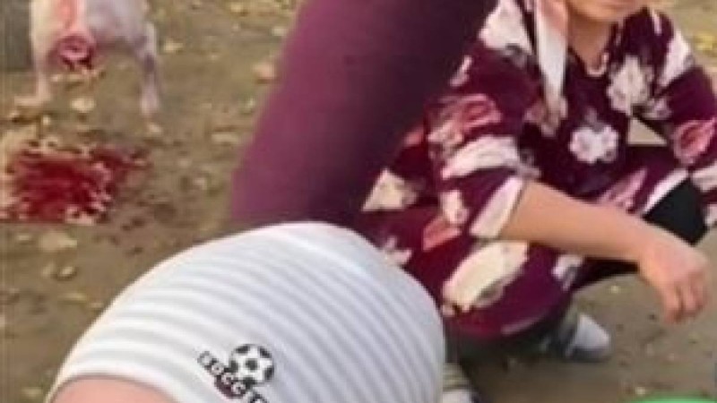 "Қылқындырып тіл шығару деген қандай ырым": Баланы шикі өңешпен буындырған видео қызу талқыға түсті (ВИДЕО)