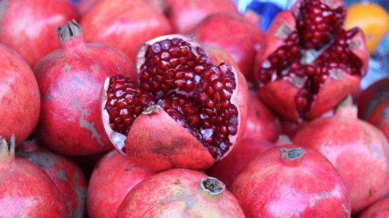 Нұр-Сұлтанда тонналаған түрік анары өртелді