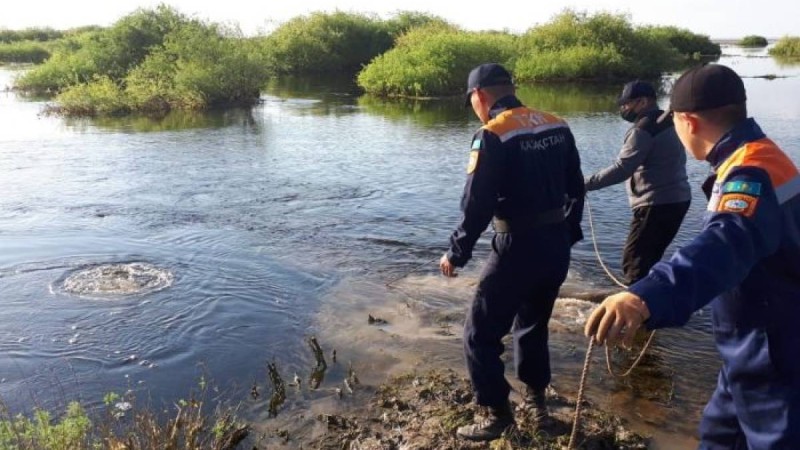 Елордалық жігіт Ақмола облысында суға батып кетті