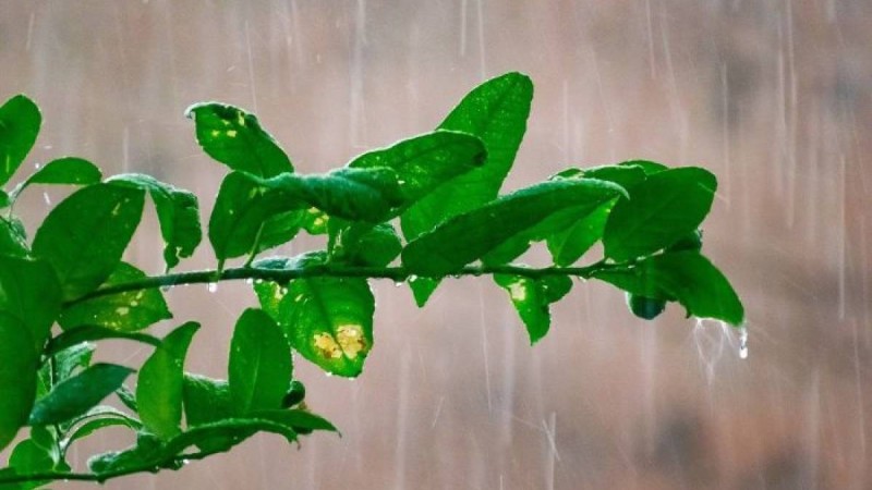 14, 15, 16 мамыр ауа райы: Алматы, Шымкент, Нұр-Сұлтан