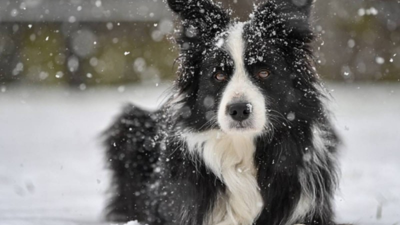 Ер адам итіне мұрагерлікке 5 млн доллар қалдырды