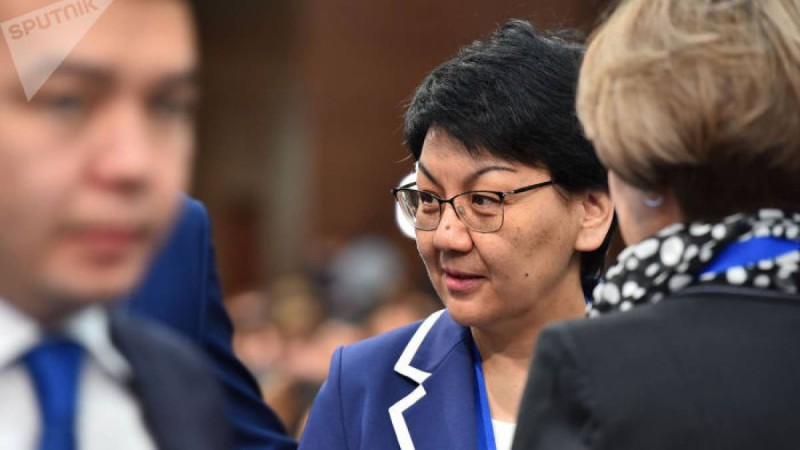 Министр Жақыпованың ғылыми атағын алып қоюға қатысты пікір білдірді