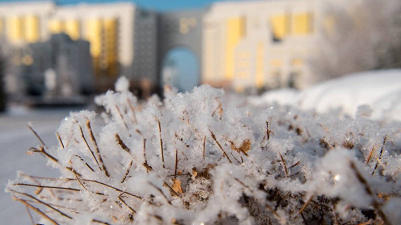 5 желтоқсан шаралар: Алматы, Нұр-Сұлтан, Павлодар