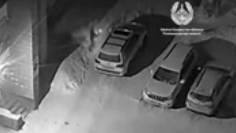 Өскеменде ер азамат бағасы 22 миллион теңгелік көлікті өртеп жіберді (видео) - Қазақстан жаңалықтары